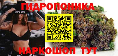 гидропоника Балашиха