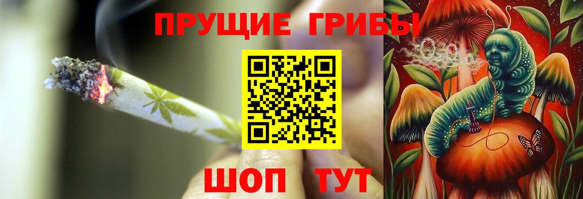 где продают наркотики  Галлюциногенные грибы Psilocybine cubensis  Вход с VPN  Екатеринбург 